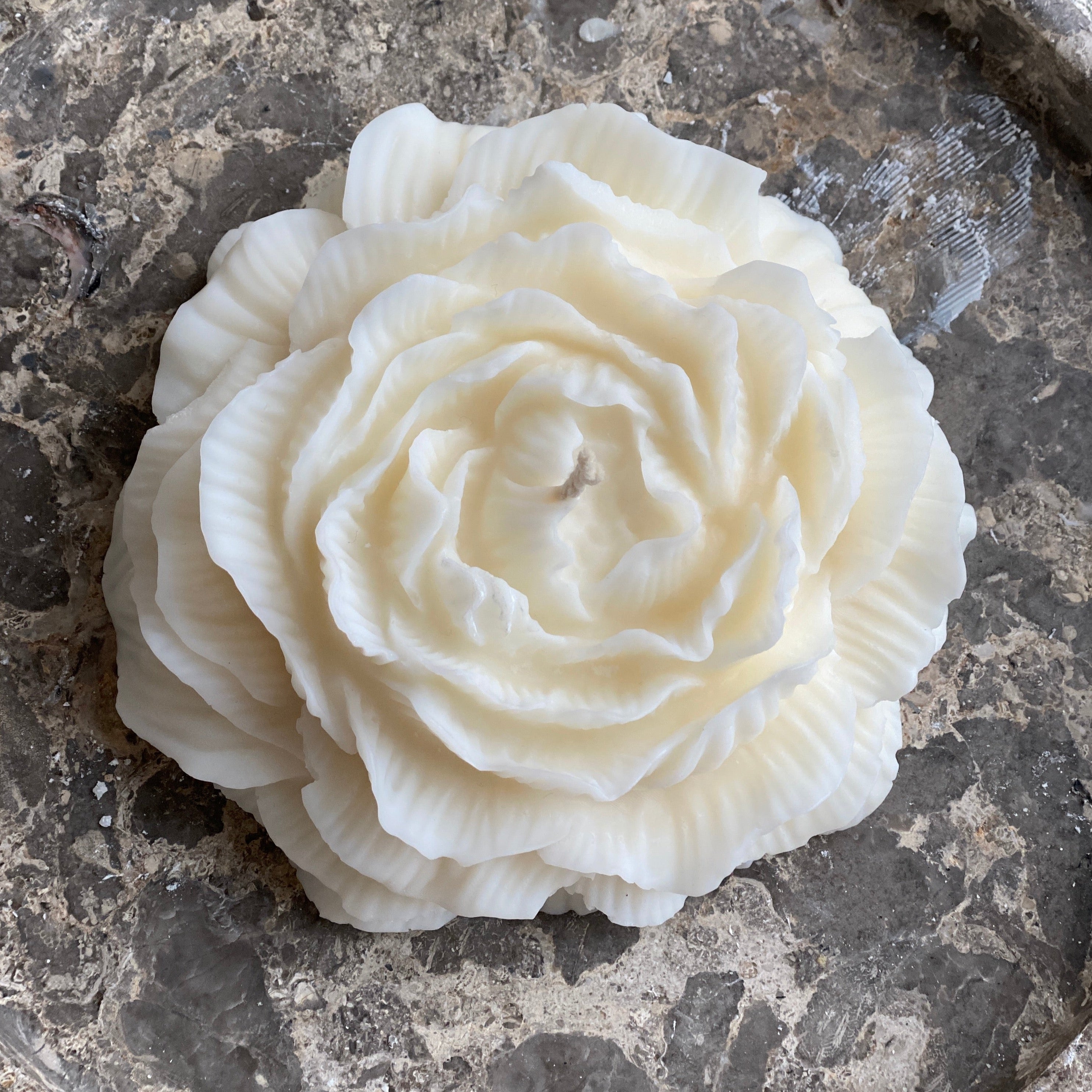 PEONY