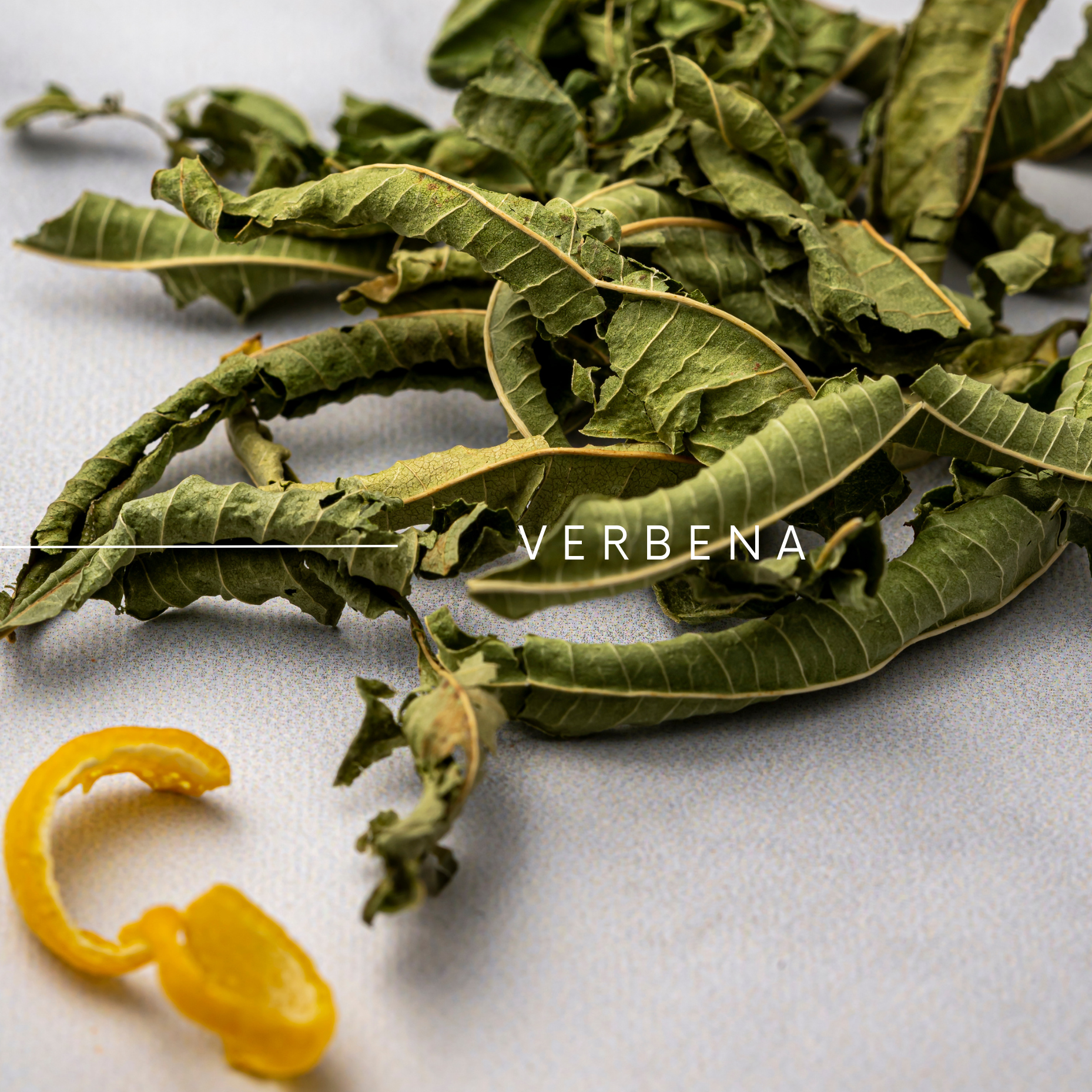 SCENT No. 3, VERBENA