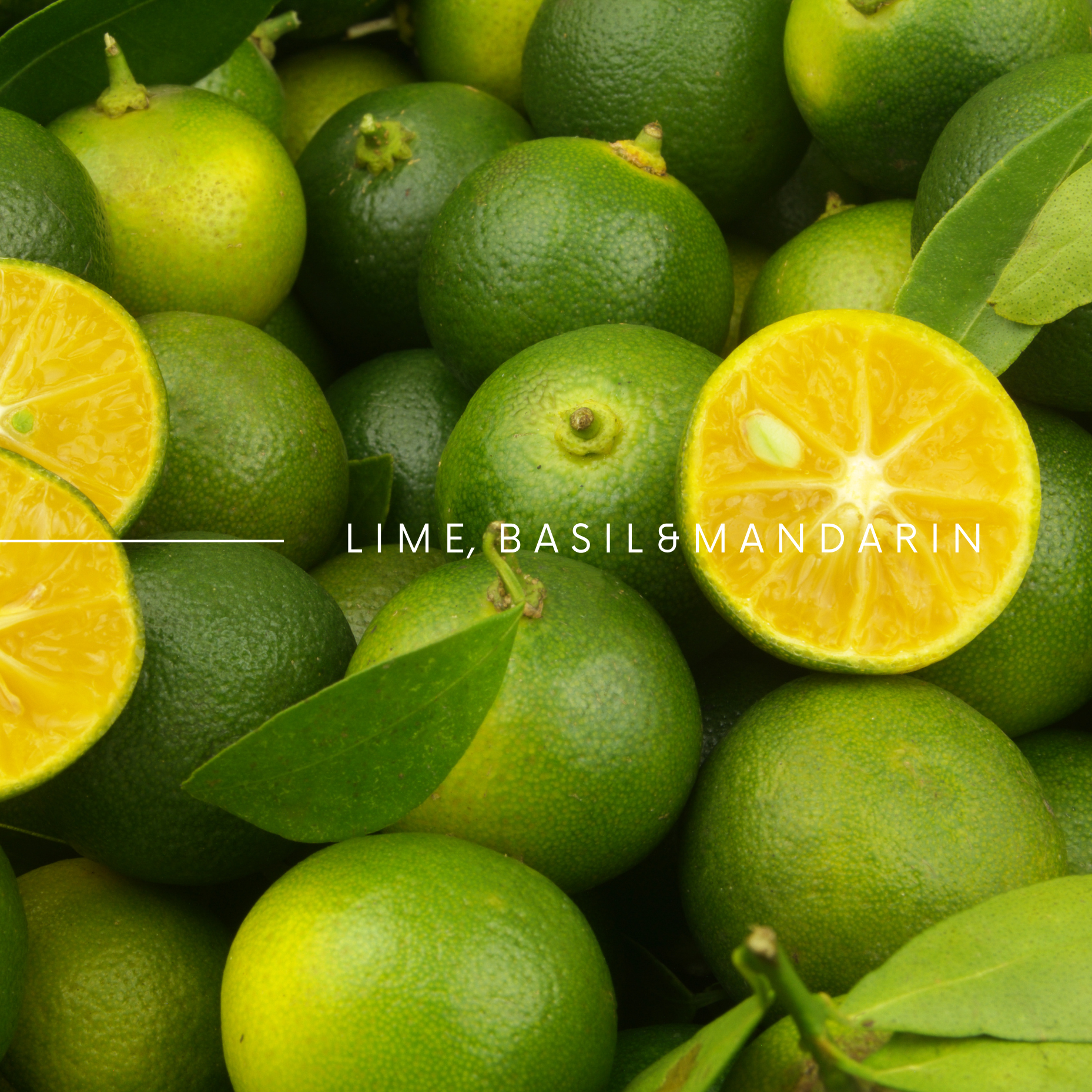 SCENT No 4, LIME, BASIL & MANDARIN