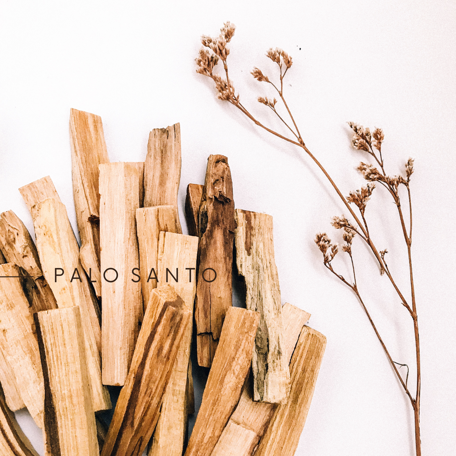 LEO, PALO SANTO